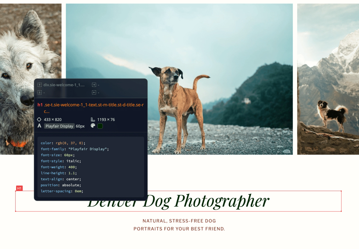 Heading tool displaying the raw code for a pet photographers website showing an H1 tag example