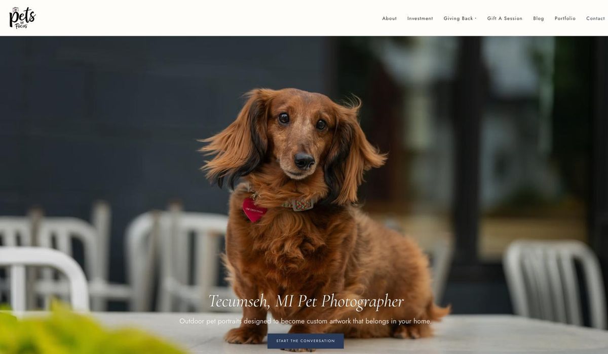 Pets in Focus homepage