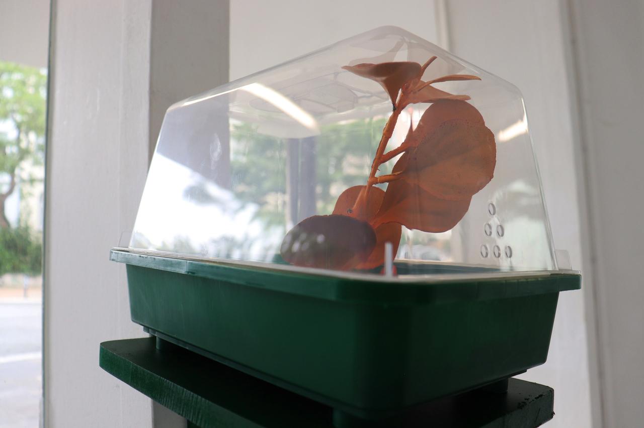 Paola Donato Castillo, Invernadero (greenhouse), 2023, Sound, plastic ground and sound installation, 20 × 15 cm Paola Donato Castillo, Invernadero (greenhouse), 2023, Sound, plastic ground and sound installation, 20 × 15 cm