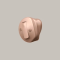 Oticon Own 5 P ITC