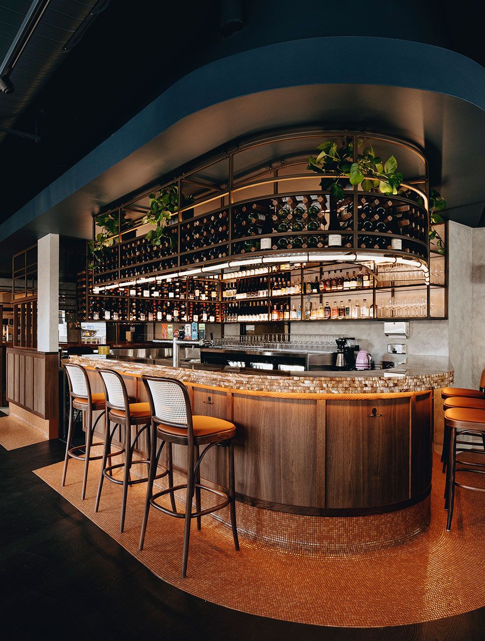 **Alt Text:** Curved timber bar with a warm mosaic tile base, cane-backed bar stools with burnt orange cushions, and an overhead wine display framed in bronze metalwork. The shelving is filled with bottles and glassware, softened by trailing green plants. Ambient lighting highlights the rich textures and creates a welcoming, sophisticated atmosphere in this contemporary hospitality interior.