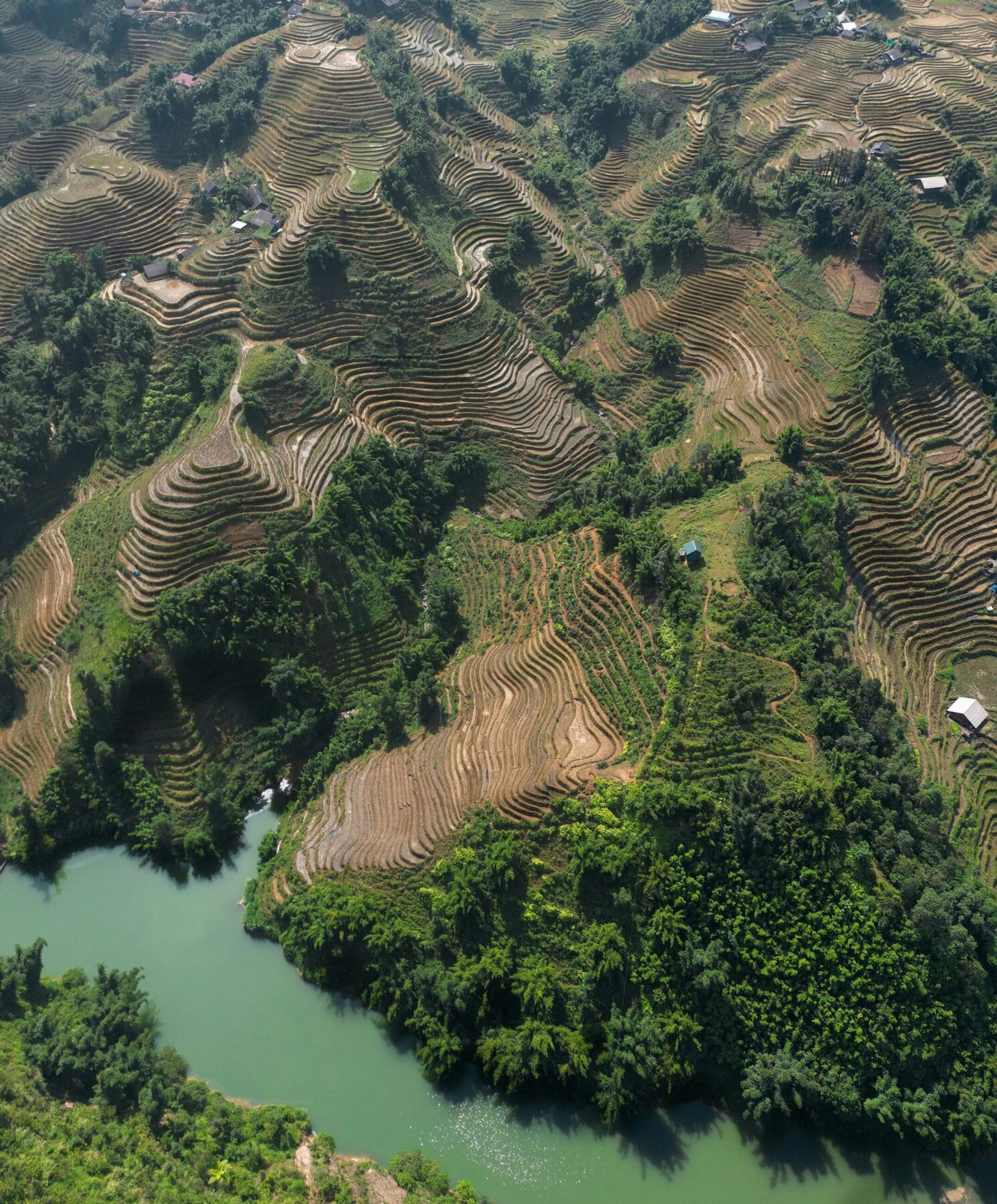 Terraced landscape in Asia seen through mist