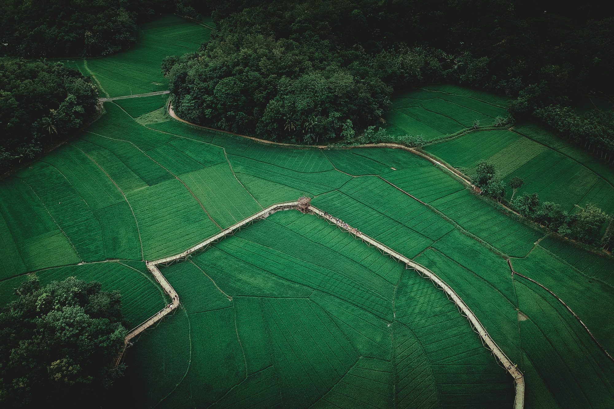 A green mountain landscape beneath cloud cover