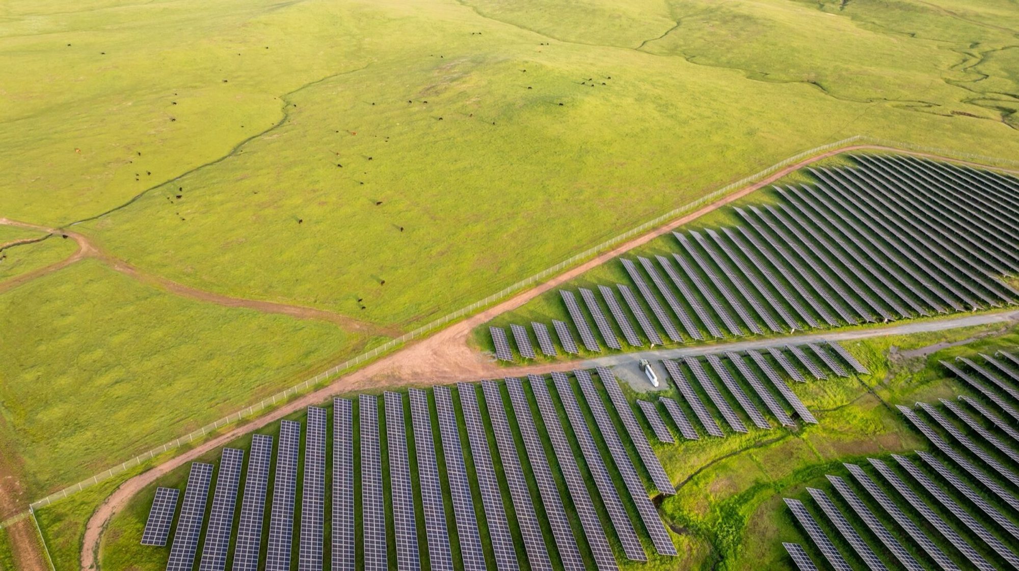 Solar installation across a grassland landscape