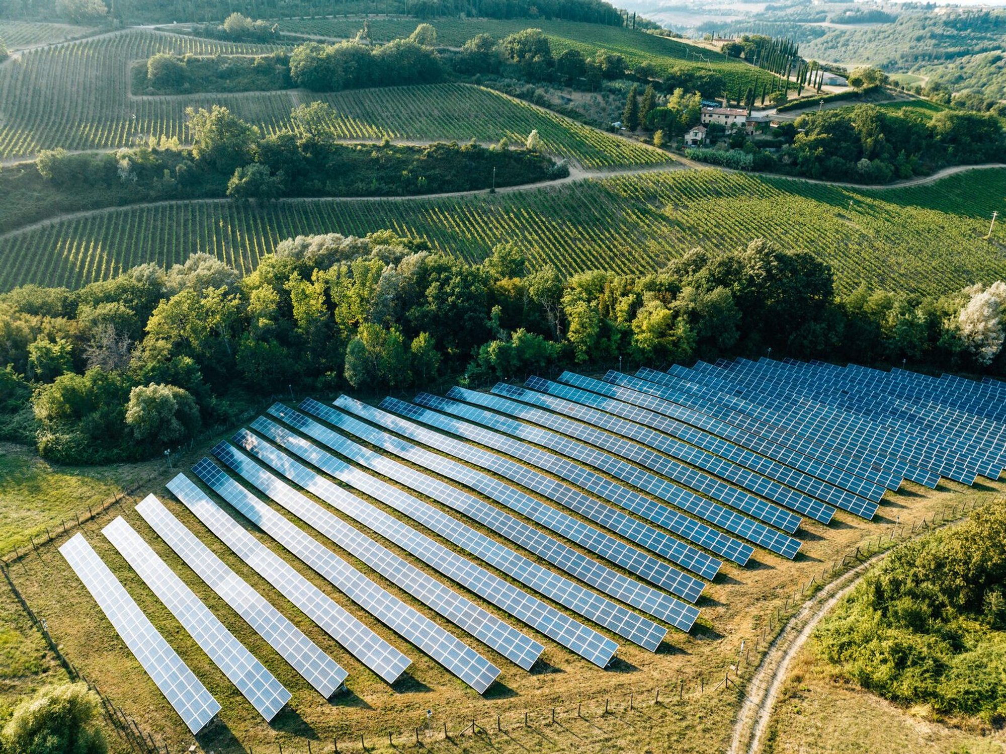 Solar arrays set into a cultivated landscape