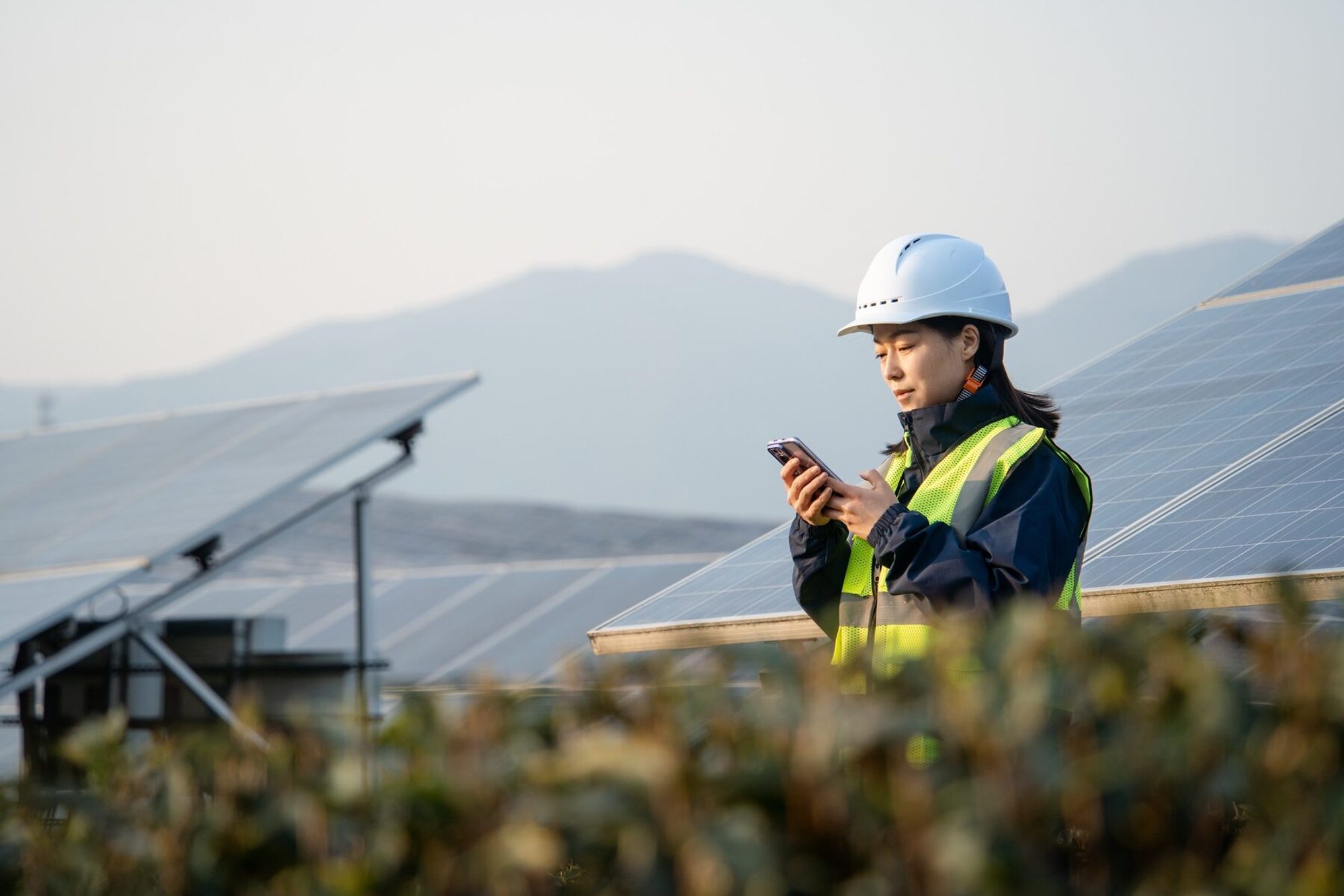 Advisor standing in a solar field