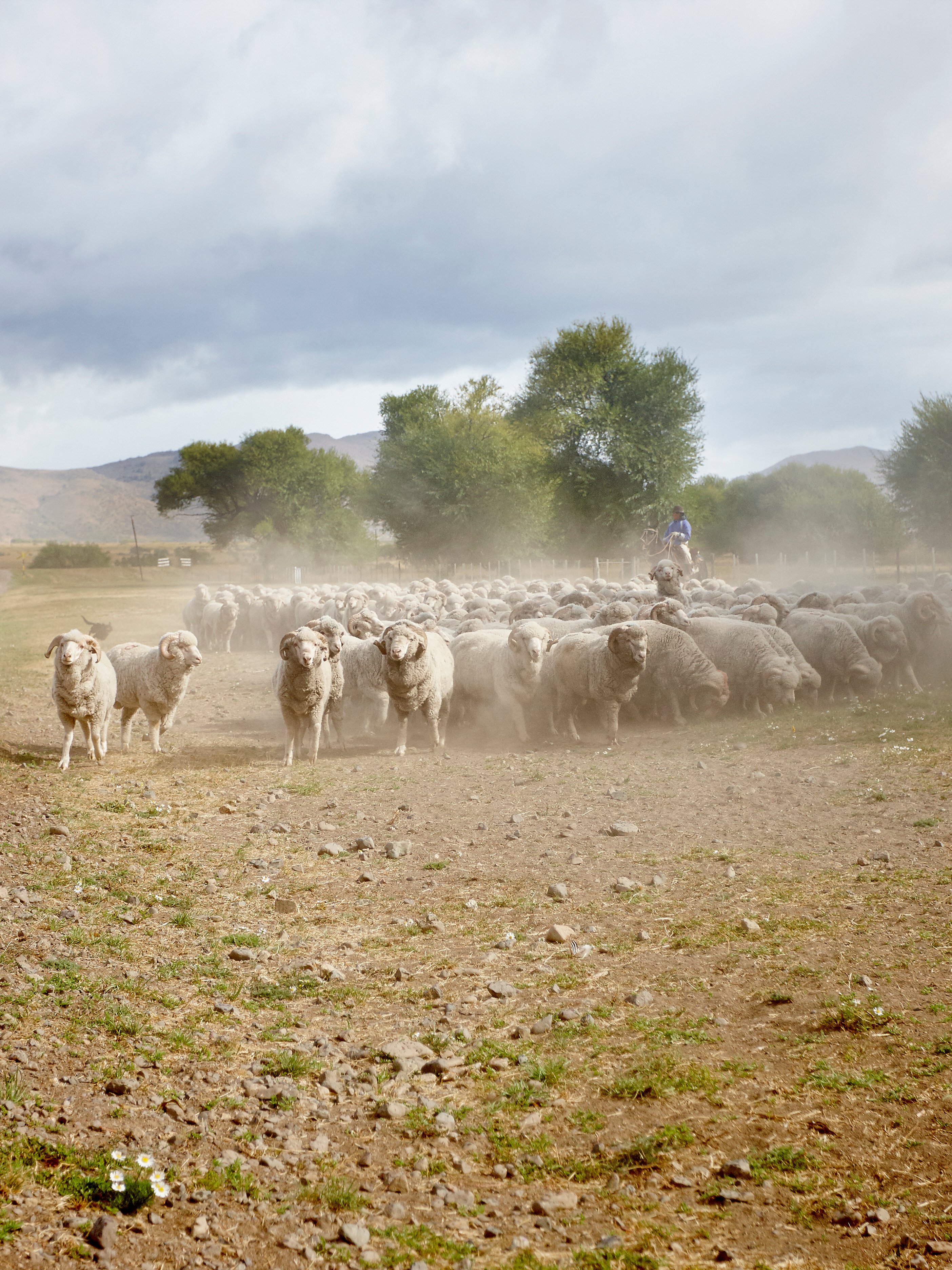 Bli med DILLING til Patagonia i Argentina