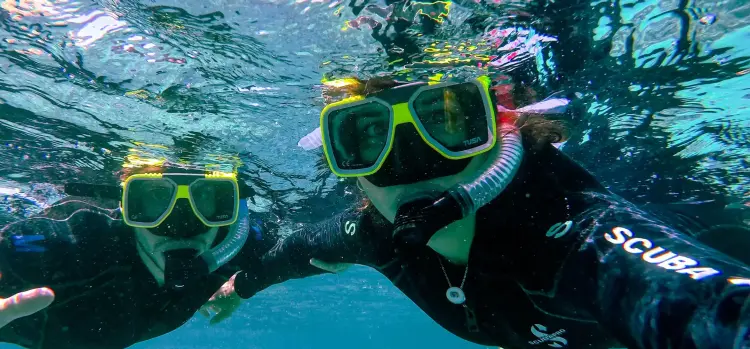 Seashell Adventures NXT