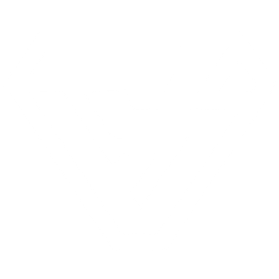 BitSkins logo