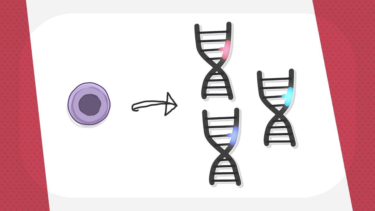 Acute myeloid leukemia: Genetic changes 