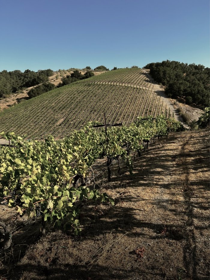 Heaton Vineyard​​​​‌﻿‍﻿​‍​‍‌‍﻿﻿‌﻿​‍‌‍‍‌‌‍‌﻿‌‍‍‌‌‍﻿‍​‍​‍​﻿‍‍​‍​‍‌﻿​﻿‌‍​‌‌‍﻿‍‌‍‍‌‌﻿‌​‌﻿‍‌​‍﻿‍‌‍‍‌‌‍﻿﻿​‍​‍​‍﻿​​‍​‍‌‍‍​‌﻿​‍‌‍‌‌‌‍‌‍​‍​‍​﻿‍‍​‍​‍‌‍‍​‌﻿‌​‌﻿‌​‌﻿​​‌﻿​﻿​﻿‍‍​‍﻿﻿​‍﻿﻿‌﻿​‍‌‍‍‌‌‍‍‌‌﻿​﻿‌‍‌‌​‍﻿‌‌﻿‌﻿‌‍‍‌‌‍﻿‍‌‍‌‌​‍﻿‍‌﻿​﻿‌‍​‌‌‍﻿‍‌‍‍‌‌﻿‌​‌﻿‍‌​‍﻿‍‌﻿​﻿‌﻿‌​‌﻿‌‌‌‍‌​‌‍‍‌‌‍﻿﻿​‍﻿﻿‌‍‌​‌‍‌‌‌﻿‌‍‌‍‌‌‌‍﻿​‌‍﻿﻿‌﻿​​‌‍﻿‌‌‍‌‌‌‍﻿‍‌﻿‌​​‍﻿﻿‌‍‍‌‌‍﻿‍‌﻿‌​‌‍‌‌‌‍﻿‍‌﻿‌​​‍﻿﻿‌‍‌‌‌‍‌​‌‍‍‌‌﻿‌​​‍﻿﻿‌‍﻿‌‌‍﻿﻿‌‍‌​‌‍‌‌​﻿﻿‌‌﻿​​‌﻿​‍‌‍‌‌‌﻿​﻿‌‍‌‌‌‍﻿‍‌﻿‌​‌‍​‌‌﻿‌​‌‍‍‌‌‍﻿﻿‌‍﻿‍​﻿‍﻿‌‍‍‌‌‍‌​​﻿﻿‌‌‍‍​‌‍﻿﻿‌‍﻿‌‌‍‌‌‌﻿​​‌‍​‌‌‍‌﻿‌‍‌‌​﻿‍﻿‌﻿‌​‌﻿‍‌‌﻿​​‌‍‌‌​﻿﻿‌‌‍‍​‌‍﻿﻿‌‍﻿‌‌‍‌‌‌﻿​​‌‍​‌‌‍‌﻿‌‍‌‌​﻿‍﻿‌﻿​​‌‍​‌‌﻿‌​‌‍‍​​﻿﻿‌‌‍‌﻿‌‍​‌‌‍﻿​‌‍﻿​‌‍‌‌‌﻿​‍‌﻿‍‌​‍‌‌​﻿‌‌‌​​‍‌‌﻿﻿‌‍‍﻿‌‍‌‌‌﻿‍‌​‍‌‌​﻿​﻿‌​‌​​‍‌‌​﻿​﻿‌​‌​​‍‌‌​﻿​‍​﻿​‍‌‍‌‍‌‍‍‌‌‍‌﻿​﻿‍​​‍‌‌​﻿​‍​﻿​‍​‍‌‌​﻿‌‌‌​‌​​‍﻿‍‌‍‍‌‌‍﻿‌‌‍​‌‌‍‌﻿‌‍‌‌​‍﻿‍‌‍​‌‌‍﻿​‌﻿‌​​﻿﻿﻿‌‍​‍‌‍​‌‌﻿​﻿‌‍‌‌‌‌‌‌‌﻿​‍‌‍﻿​​﻿﻿‌‌‍‍​‌﻿‌​‌﻿‌​‌﻿​​‌﻿​﻿​‍‌‌​﻿​﻿‌​​‌​‍‌‌​﻿​‍‌​‌‍​‍‌‌​﻿​‍‌​‌‍‌﻿​‍‌‍‍‌‌‍‍‌‌﻿​﻿‌‍‌‌​‍﻿‌‌﻿‌﻿‌‍‍‌‌‍﻿‍‌‍‌‌​‍﻿‍‌﻿​﻿‌‍​‌‌‍﻿‍‌‍‍‌‌﻿‌​‌﻿‍‌​‍﻿‍‌﻿​﻿‌﻿‌​‌﻿‌‌‌‍‌​‌‍‍‌‌‍﻿﻿​‍‌‌​﻿​‍‌​‌‍‌‍‌​‌‍‌‌‌﻿‌‍‌‍‌‌‌‍﻿​‌‍﻿﻿‌﻿​​‌‍﻿‌‌‍‌‌‌‍﻿‍‌﻿‌​​‍‌‍‌‍‍‌‌‍‌​​﻿﻿‌‌‍‍​‌‍﻿﻿‌‍﻿‌‌‍‌‌‌﻿​​‌‍​‌‌‍‌﻿‌‍‌‌​‍‌‍‌﻿‌​‌﻿‍‌‌﻿​​‌‍‌‌​﻿﻿‌‌‍‍​‌‍﻿﻿‌‍﻿‌‌‍‌‌‌﻿​​‌‍​‌‌‍‌﻿‌‍‌‌​‍‌‍‌﻿​​‌‍​‌‌﻿‌​‌‍‍​​﻿﻿‌‌‍‌﻿‌‍​‌‌‍﻿​‌‍﻿​‌‍‌‌‌﻿​‍‌﻿‍‌​‍‌‌​﻿‌‌‌​​‍‌‌﻿﻿‌‍‍﻿‌‍‌‌‌﻿‍‌​‍‌‌​﻿​﻿‌​‌​​‍‌‌​﻿​﻿‌​‌​​‍‌‌​﻿​‍​﻿​‍‌‍‌‍‌‍‍‌‌‍‌﻿​﻿‍​​‍‌‌​﻿​‍​﻿​‍​‍‌‌​﻿‌‌‌​‌​​‍﻿‍‌‍‍‌‌‍﻿‌‌‍​‌‌‍‌﻿‌‍‌‌​‍﻿‍‌‍​‌‌‍﻿​‌﻿‌​​‍‌‍‌﻿​​‌‍‌‌‌﻿​‍‌﻿​﻿‌﻿​​‌‍‌‌‌‍​﻿‌﻿‌​‌‍‍‌‌﻿‌‍‌‍‌‌​﻿﻿‌‌﻿​​‌﻿‌‌‌‍​‍‌‍﻿​‌‍‍‌‌﻿​﻿‌‍‍​‌‍‌‌‌‍‌​​‍​‍‌﻿﻿‌