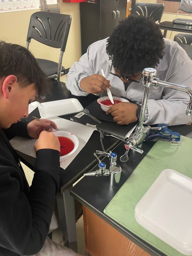 med2