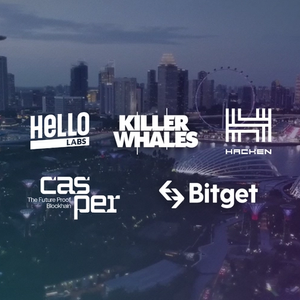 To celebrate the first release of the official Killer Whales Trailer and to announce our latest sponsor and ‘Official Blockchain Partner’ for Killer Whales season one we held an exclusive after show party at https://casper.network/