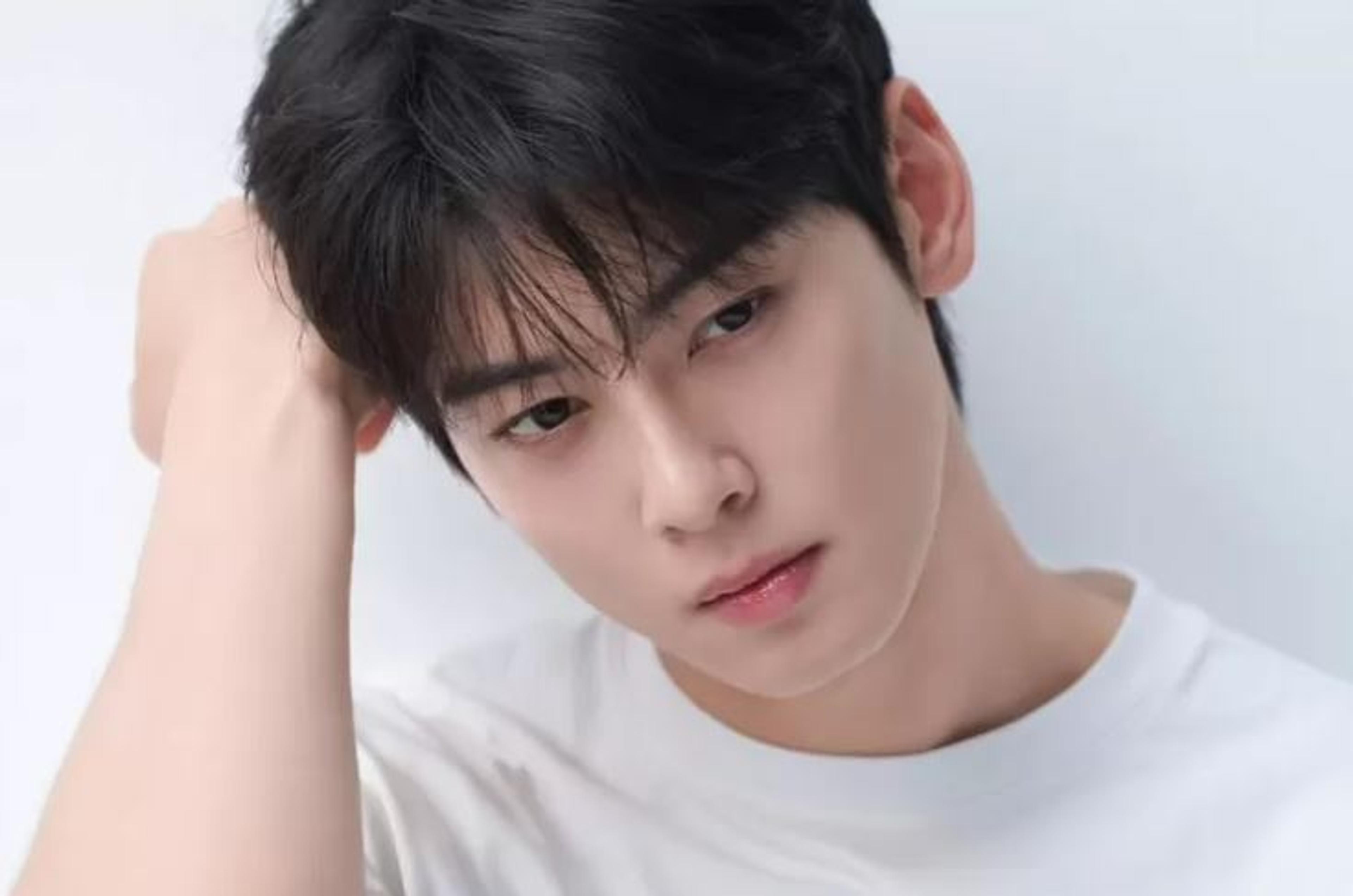 Agensi Cha Eun Woo Akui Kesalahan Teknis di Event ARS, Warga Non Selebriti Jadi Korban