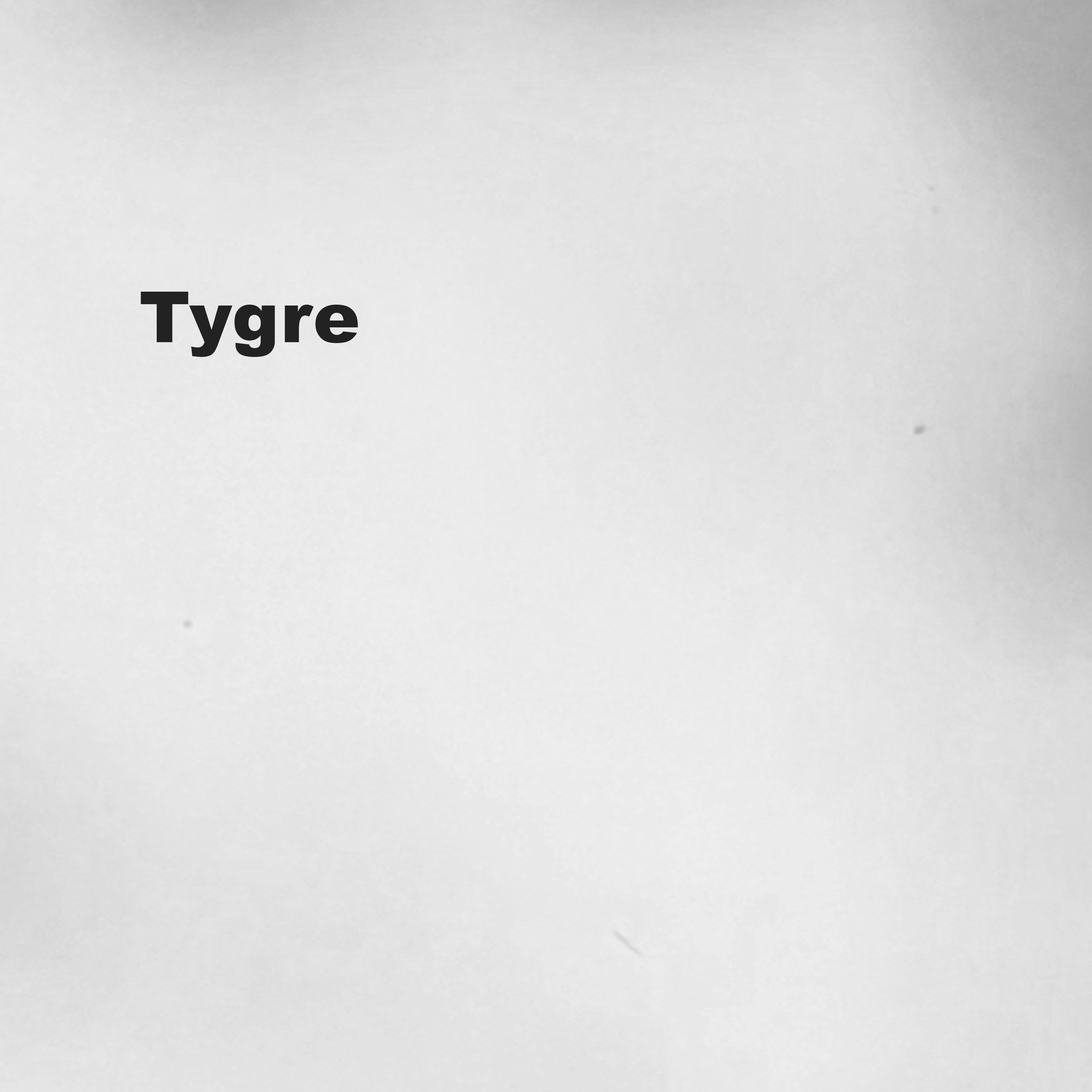 Electronic Underground w/ Tygre 27.06.25