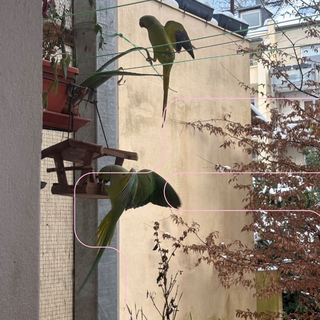 /ˈan.tɹɪn/ séance tapes w/ Antonia Beeskow 16.01.26