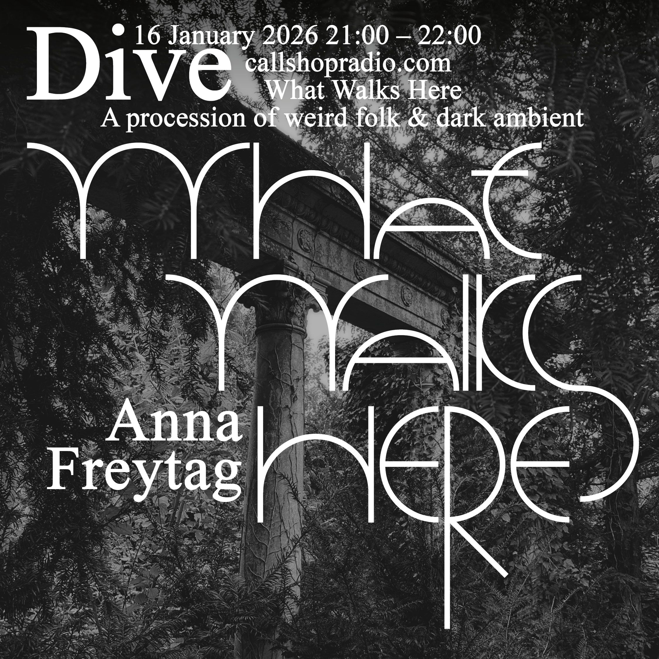 DIVE w/ Anna Freytag 16.01.26