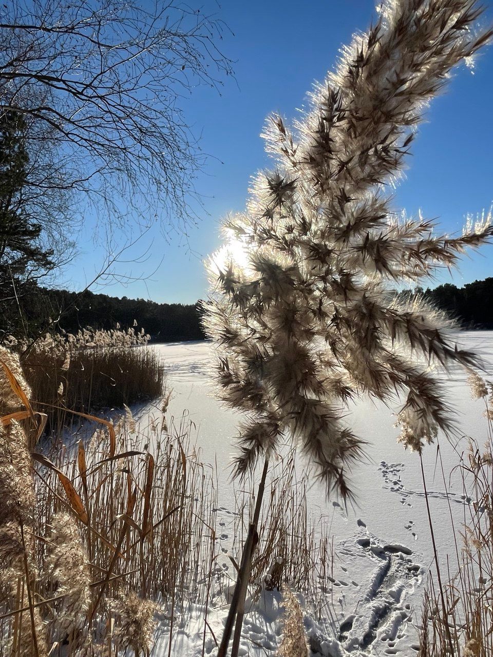 Soft Driv w/ atte pc 02.02.26