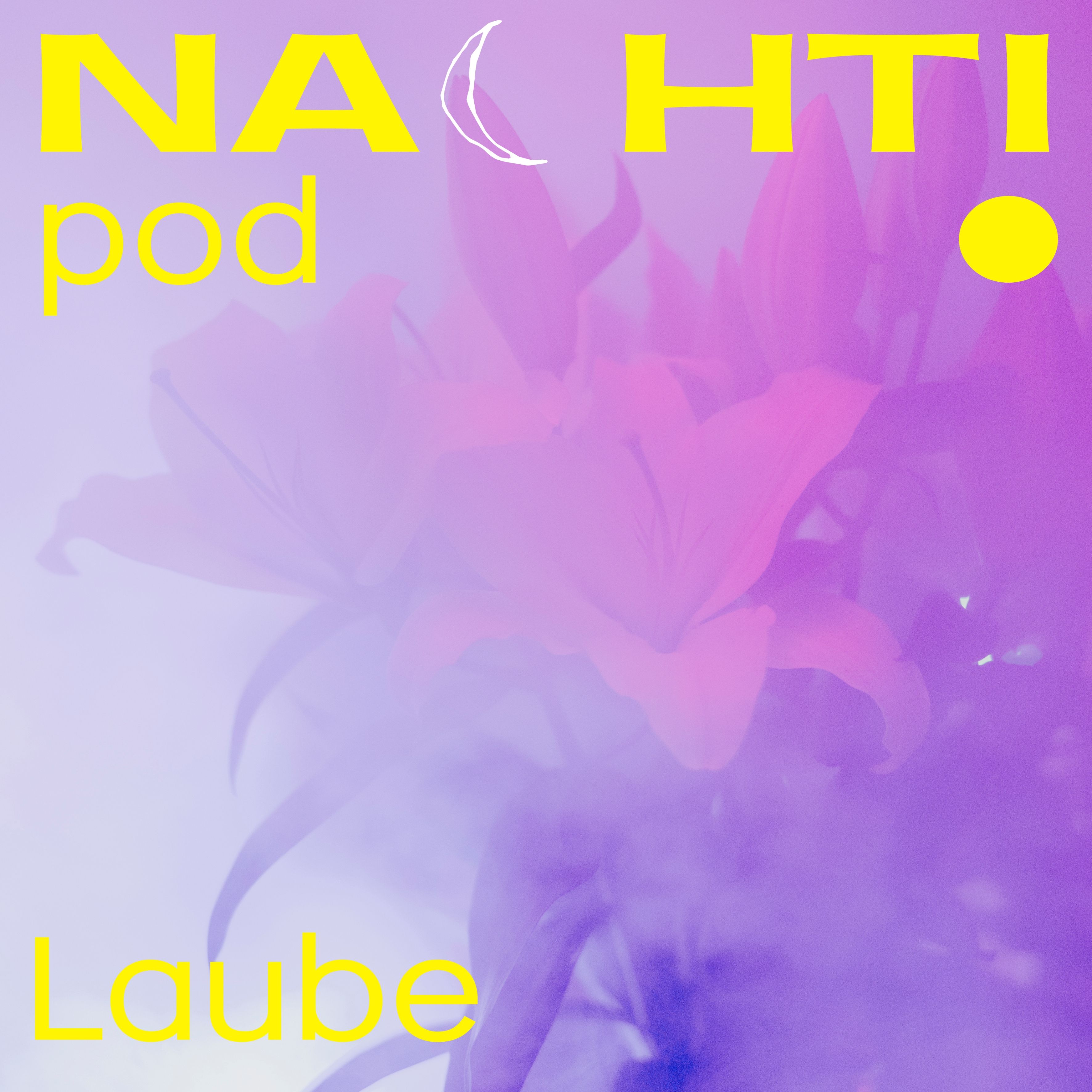 Nachtipod Laube 18.11.25
