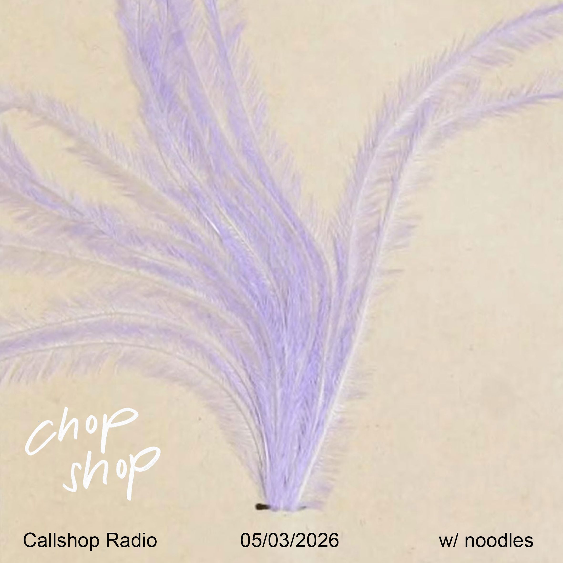 chop shop w/ noodles 05.03.26