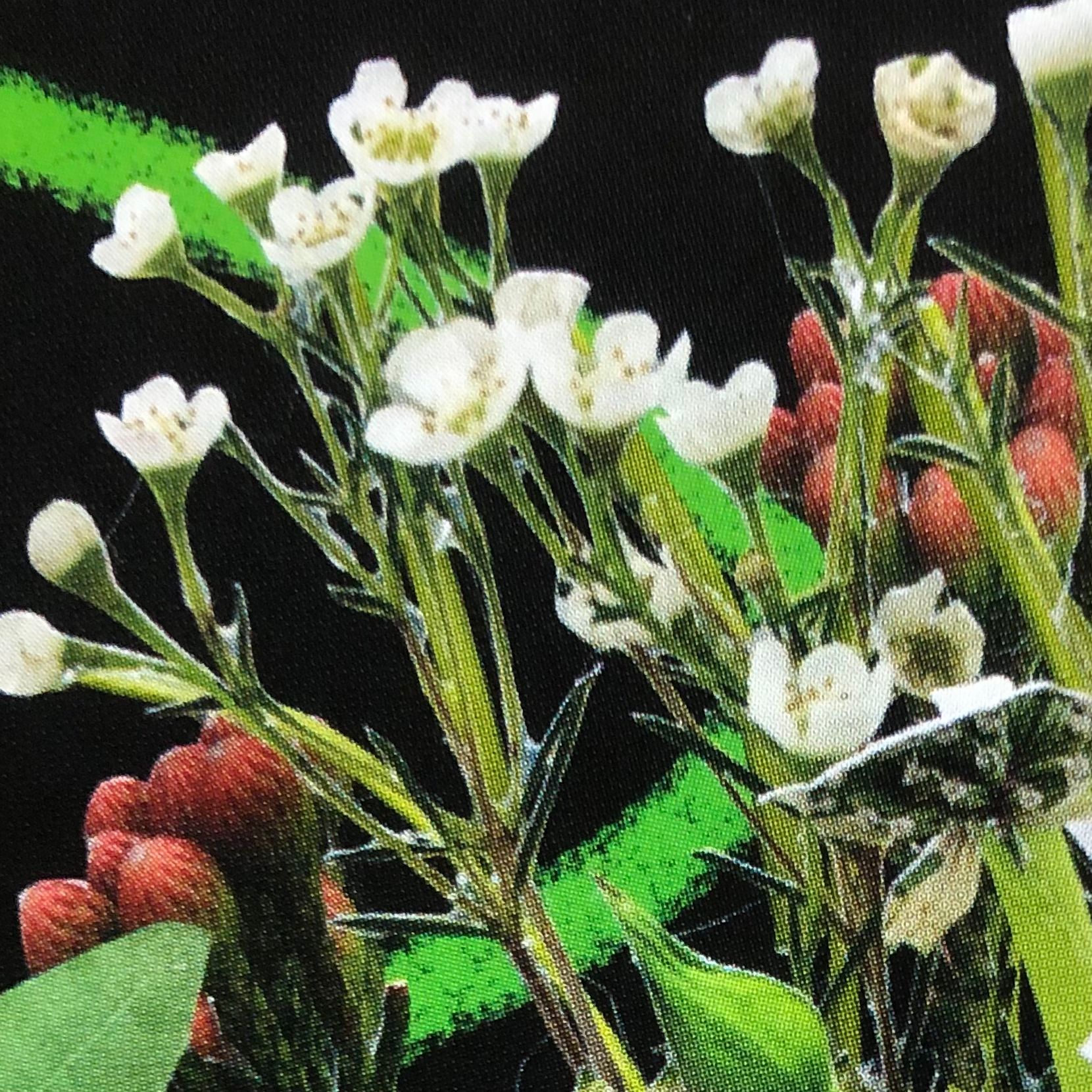 A Bunch Of Flowers 02.04.26