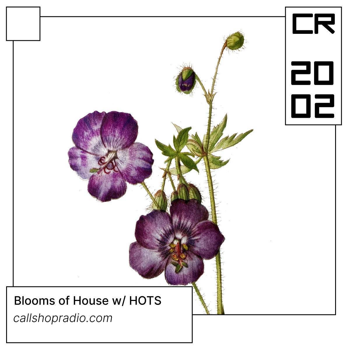 Blooms of House w/ HOTS 20.02.25
