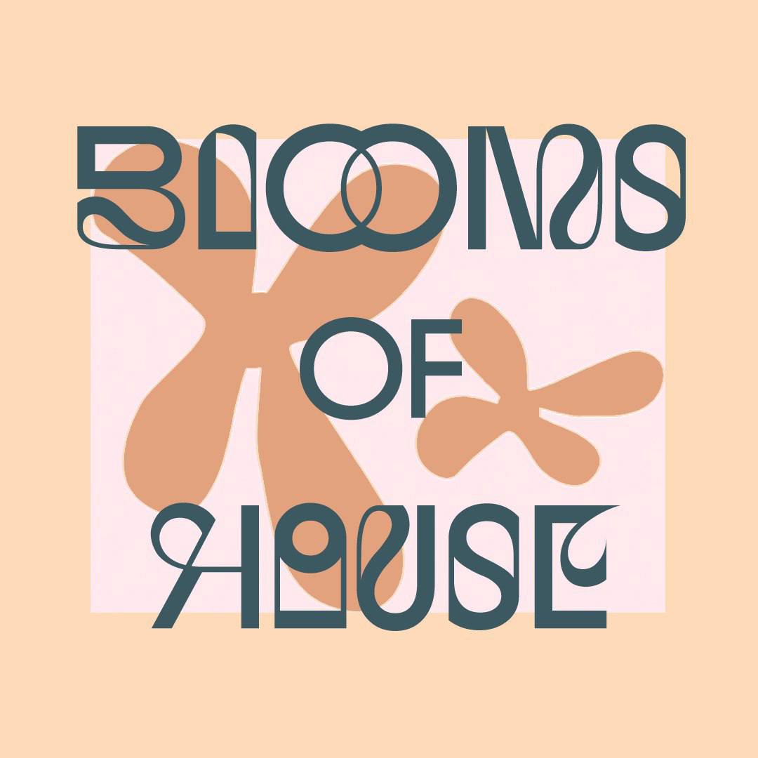 Blooms of House w/ HOTS 19.02.26
