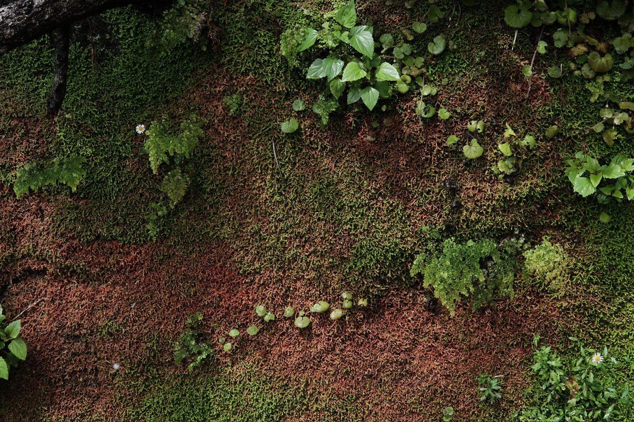 Soft Drive w/ atte pc 23.10.25