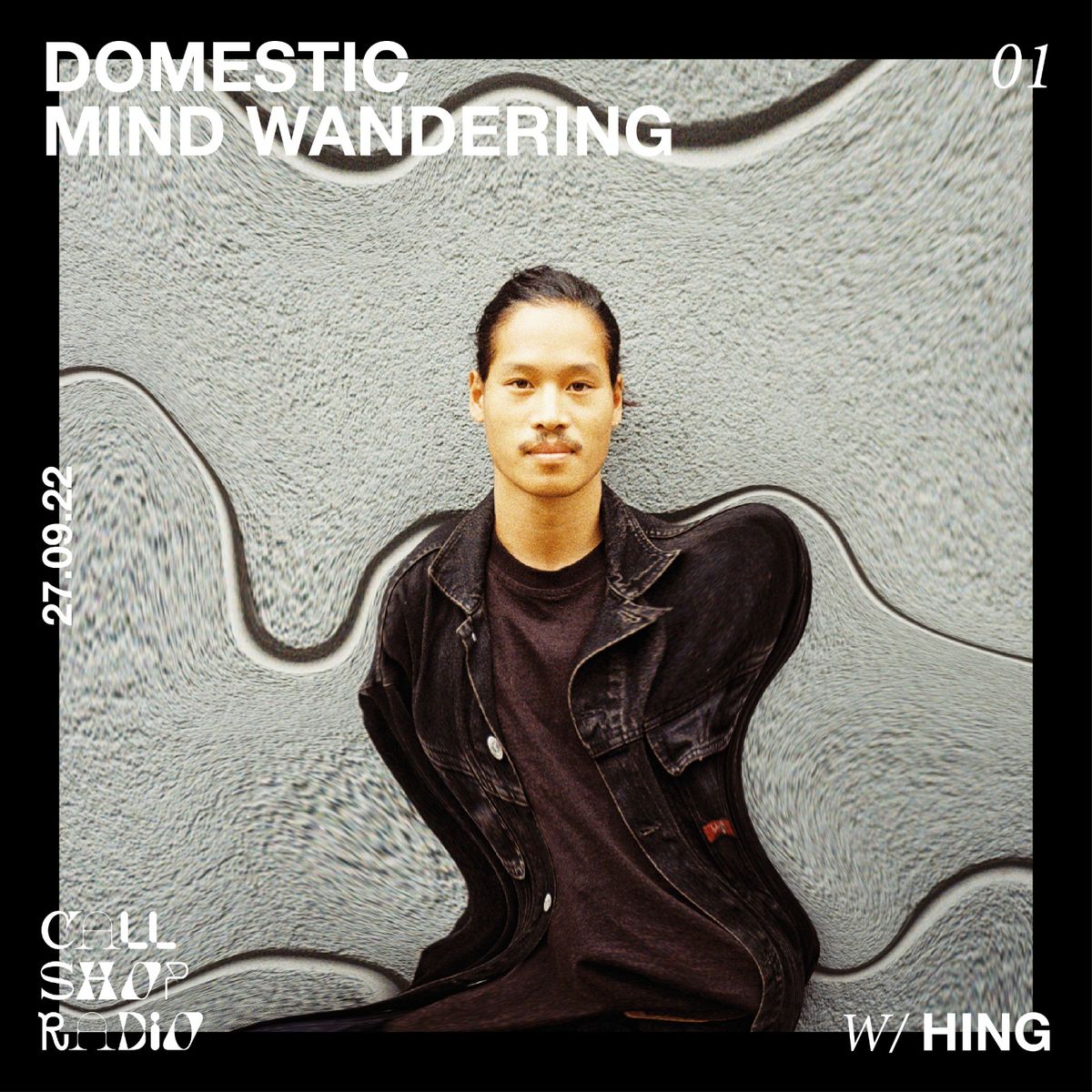 Domestic Mind Wandering