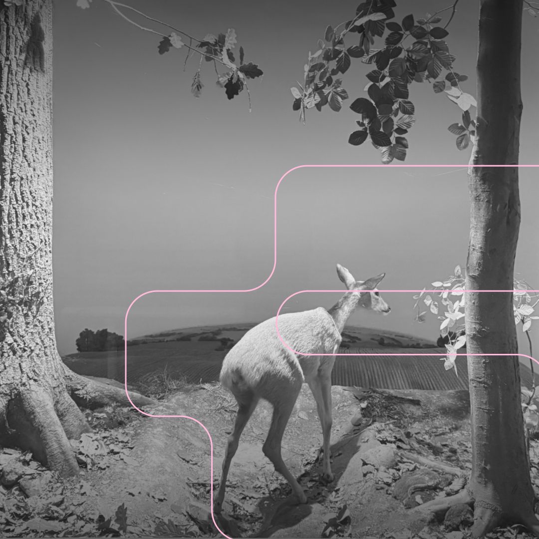 /ˈan.tɹɪn/ séance tapes w/ Antonia Beeskow 19.12.25