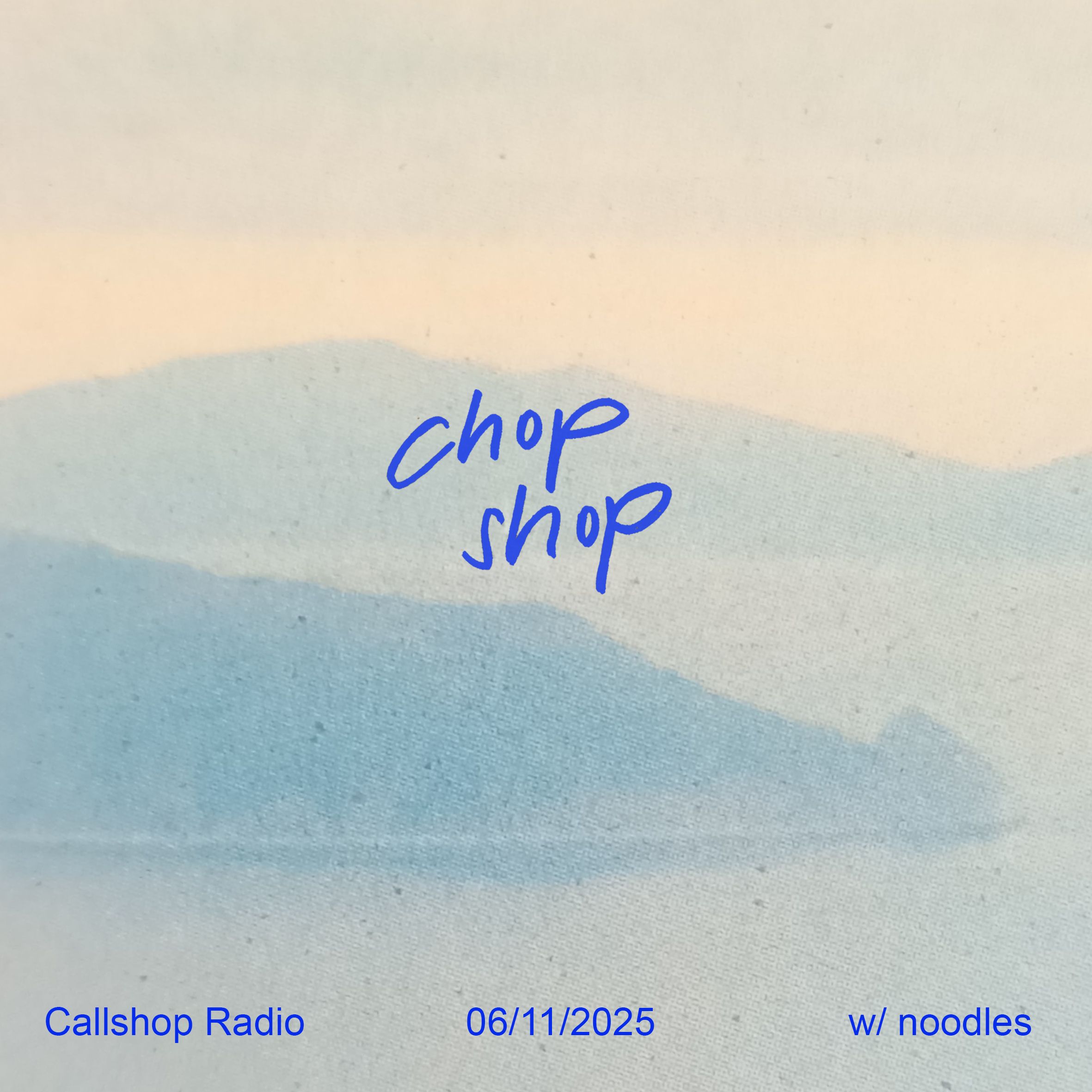 chop shop w/ noodles 06.11.25