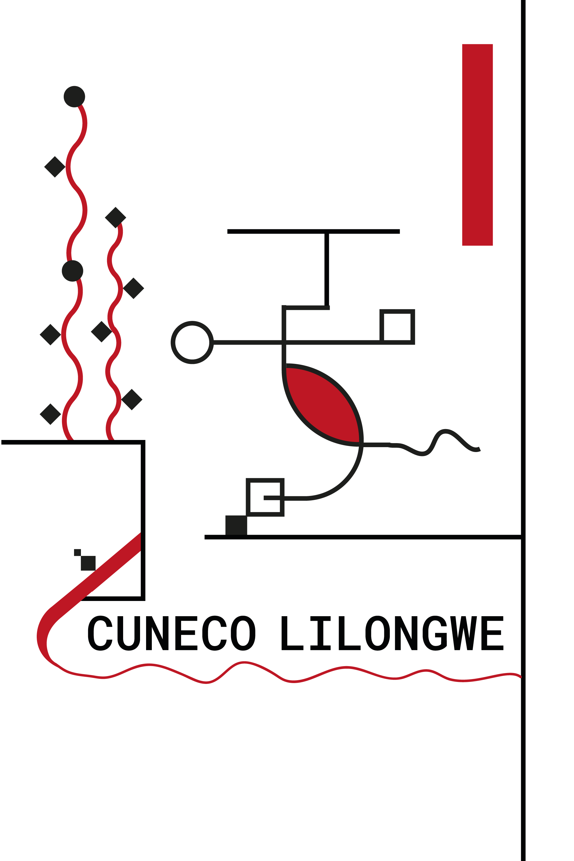 Lilongwe Radio w/ Dj Owl Lee