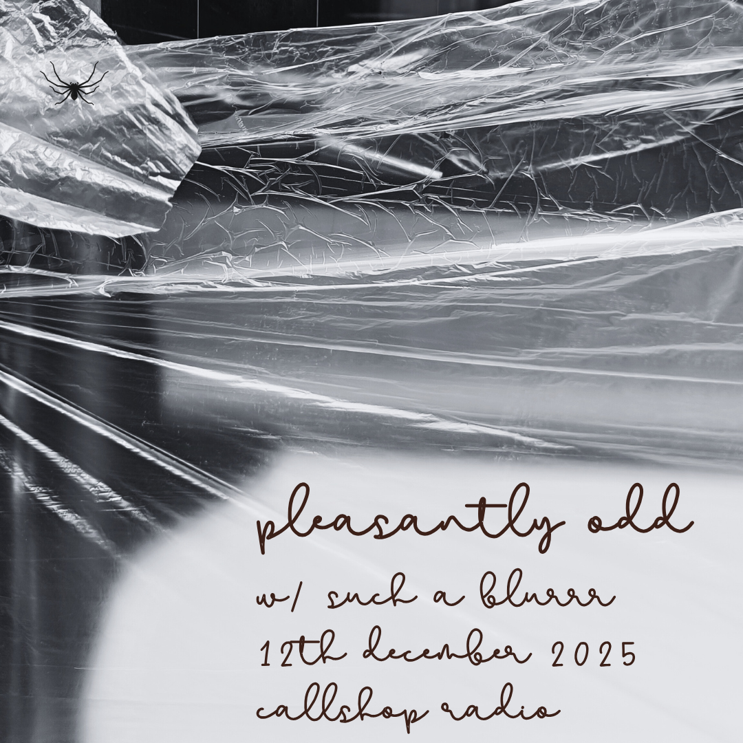 Pleasantly Odd w/ such a blurrr 12.12.25