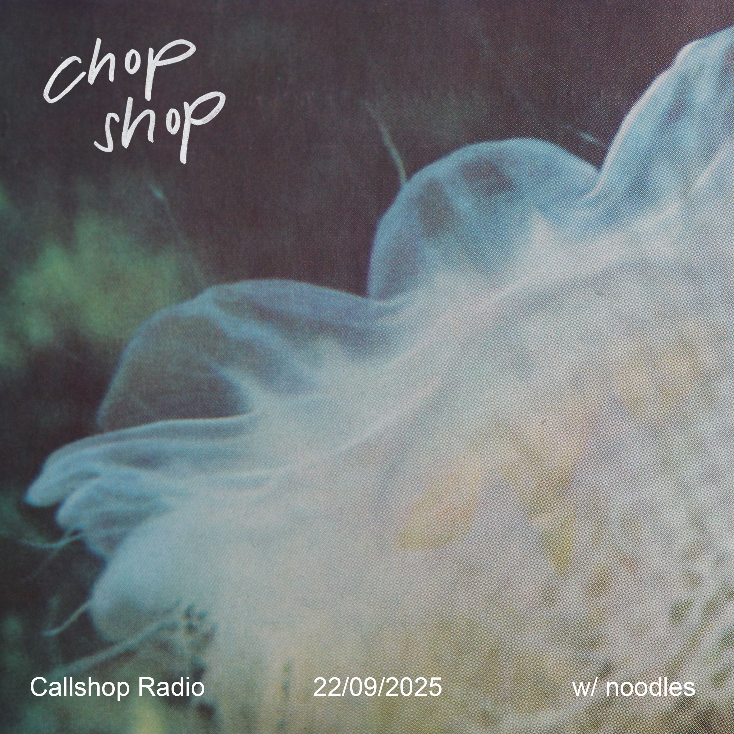 chop shop w/ noodles 22.09.25