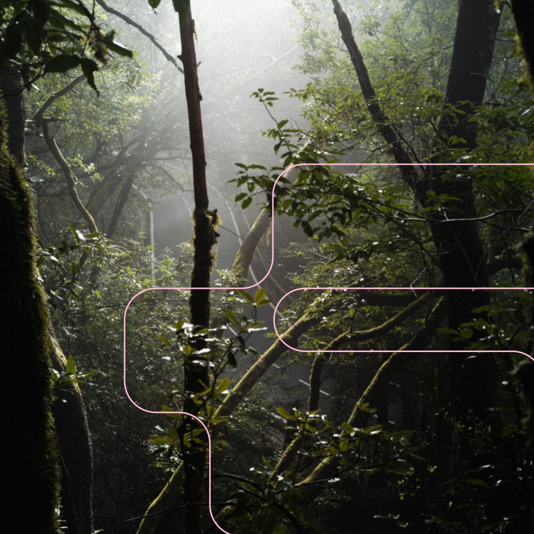 Melt w/ DJ deiner Träume 26.02.08