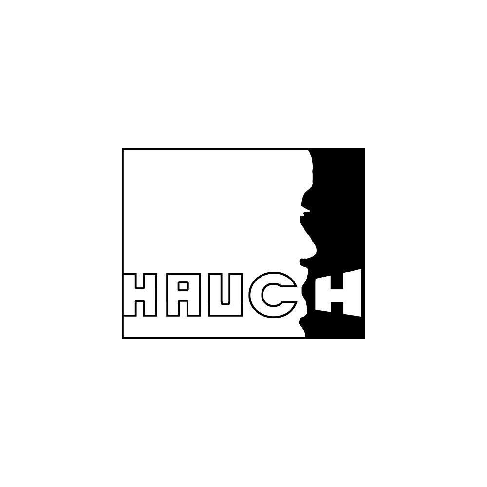 Hauch Records w/ The Visitor 