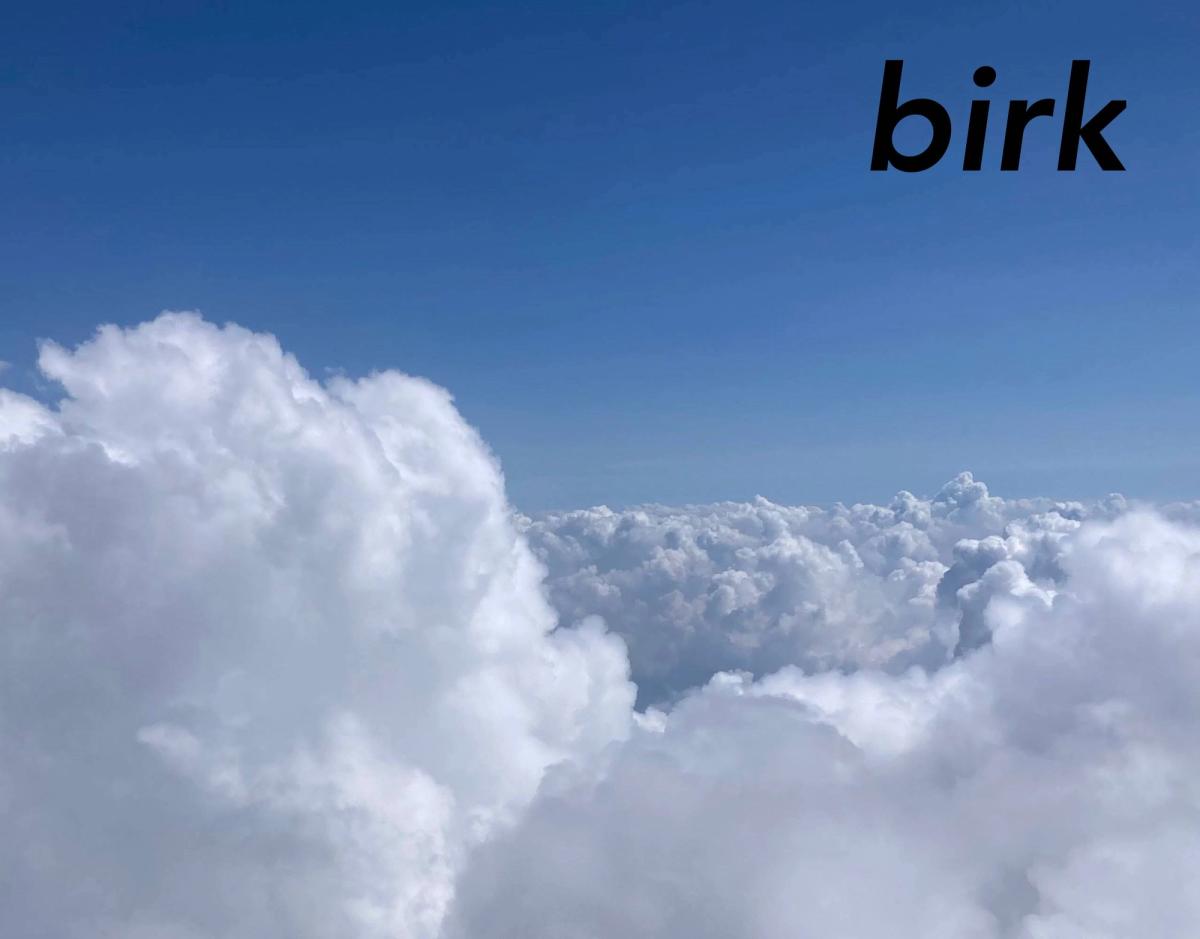 Birk