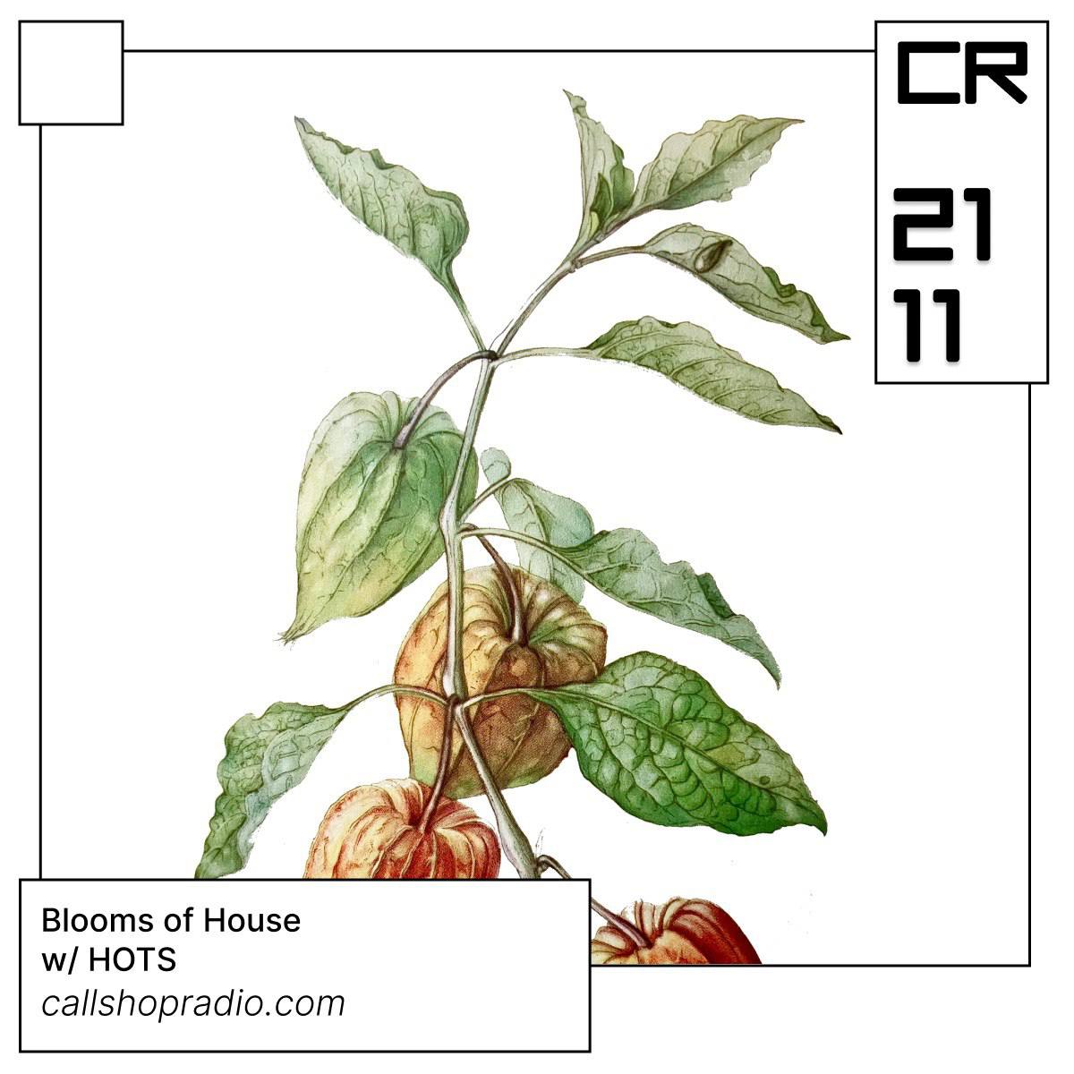 Blooms Of House w/ HOTS 21.11.24