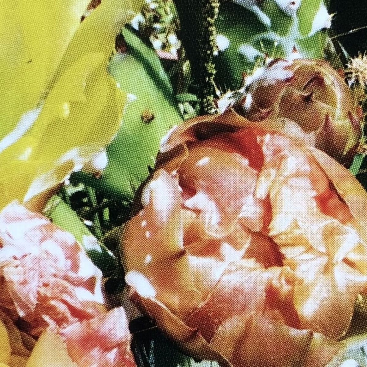A Bunch Of Flowers