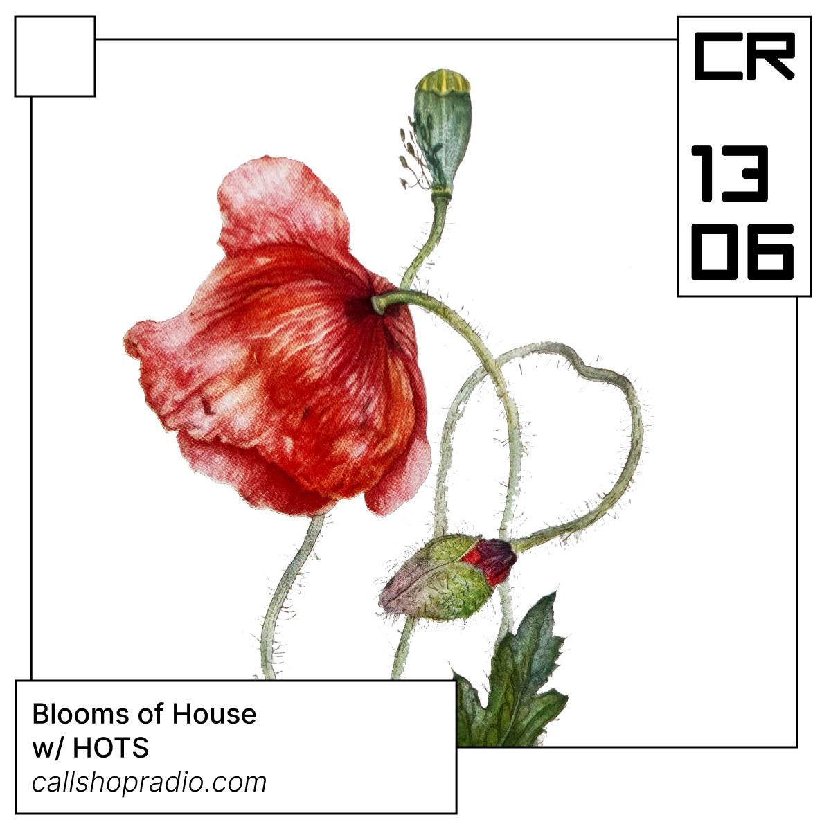 Blooms Of House w/ HOTS 13.06.24