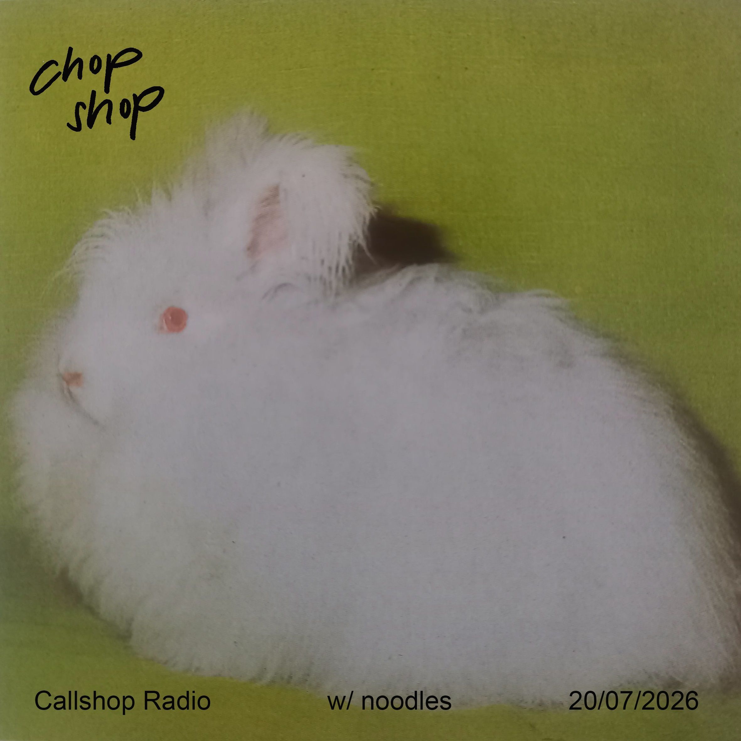 chop shop w/ noodles 20.07.26