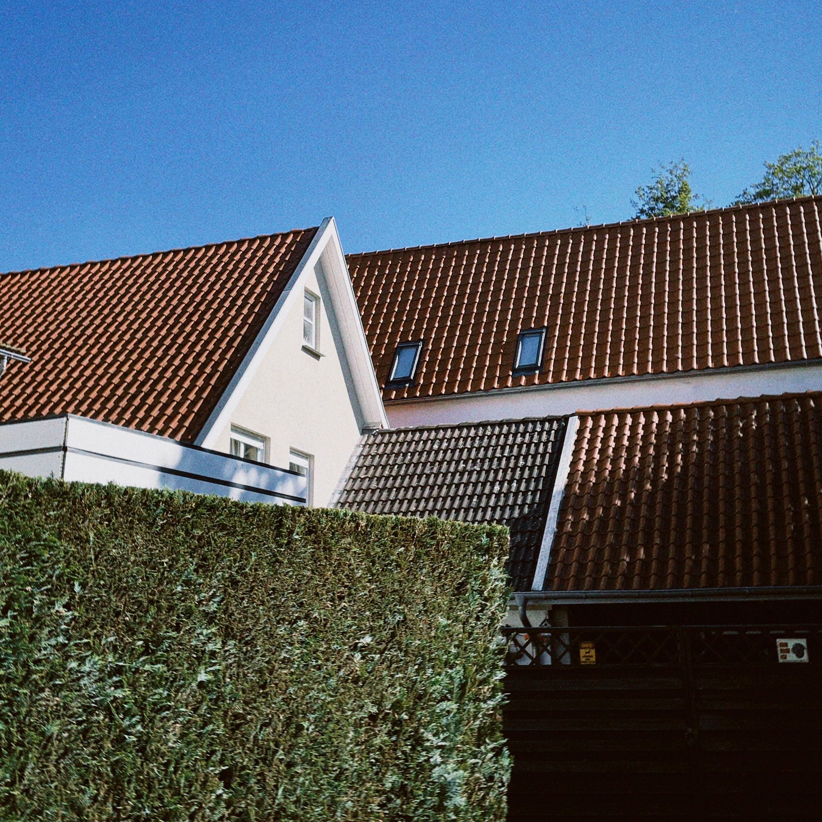 Mount Joy w/ Qnete 04.06.26