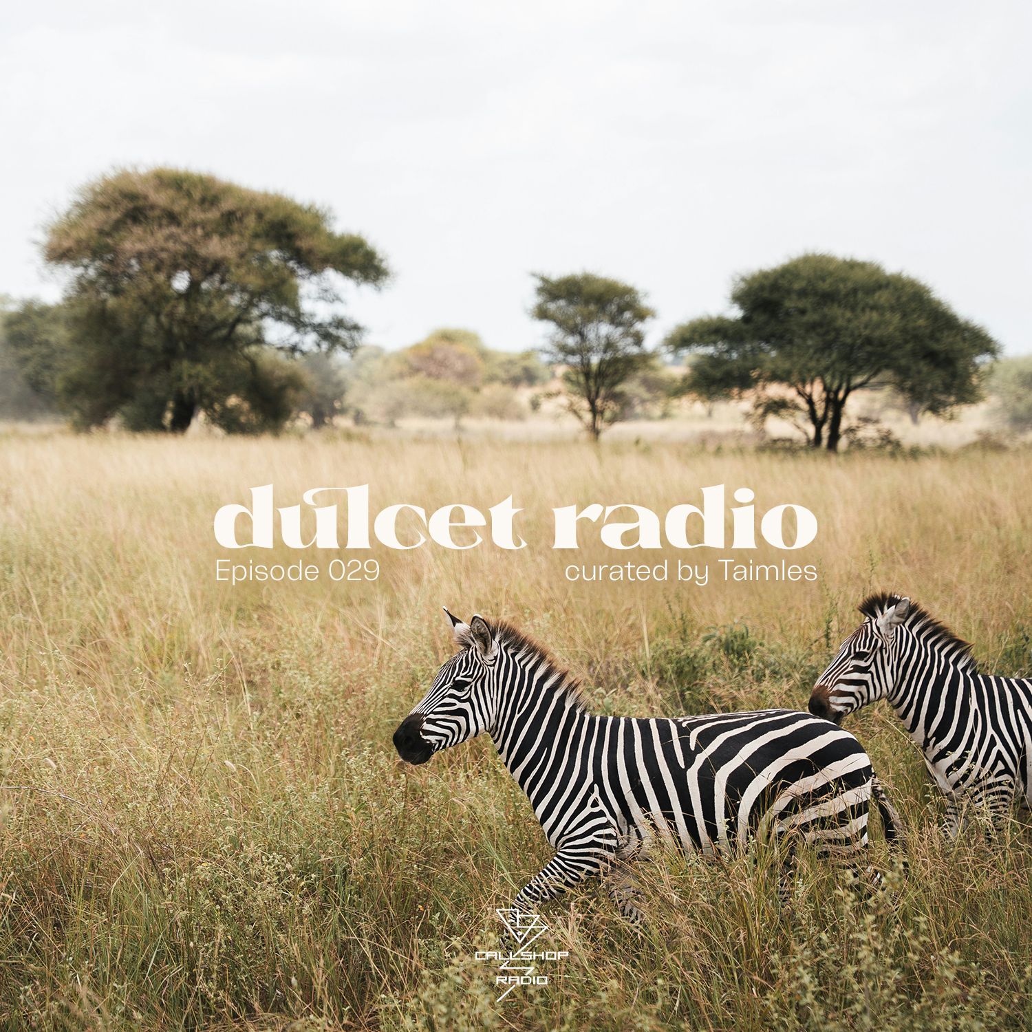 Dulcet Radio 029 w/ Taimles 16.07.25