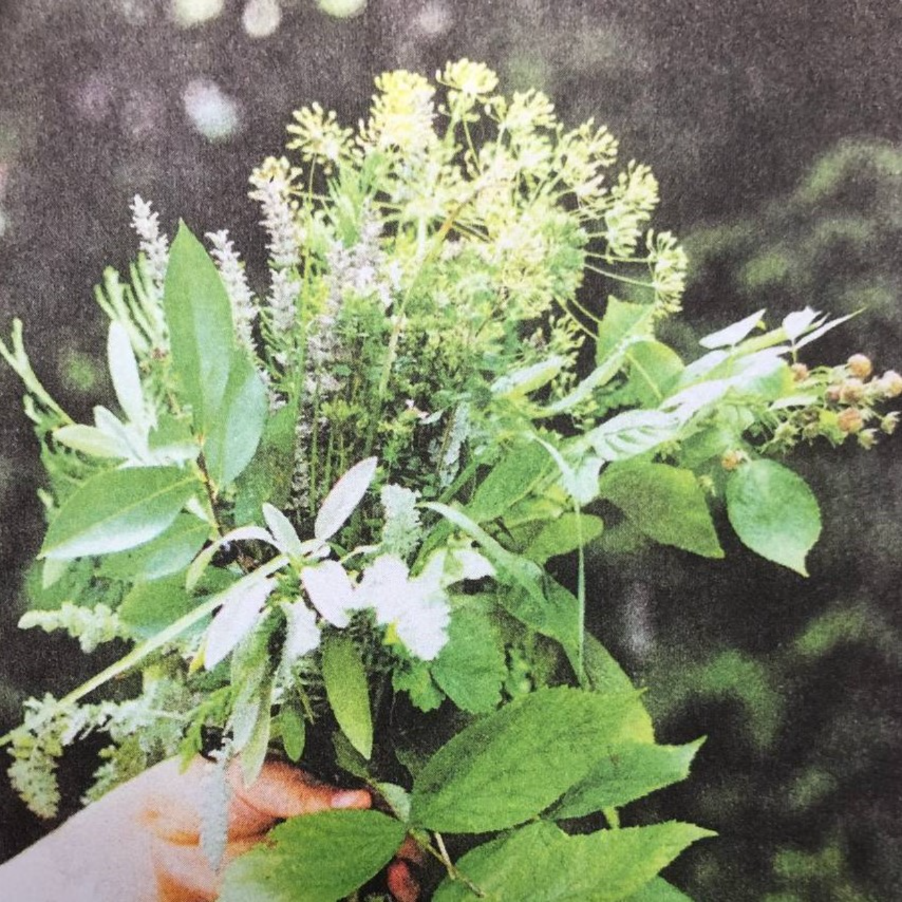 A Bunch Of Flowers 02.10.25