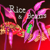 rice & beans