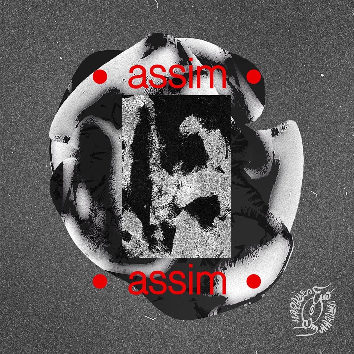AssimAssim