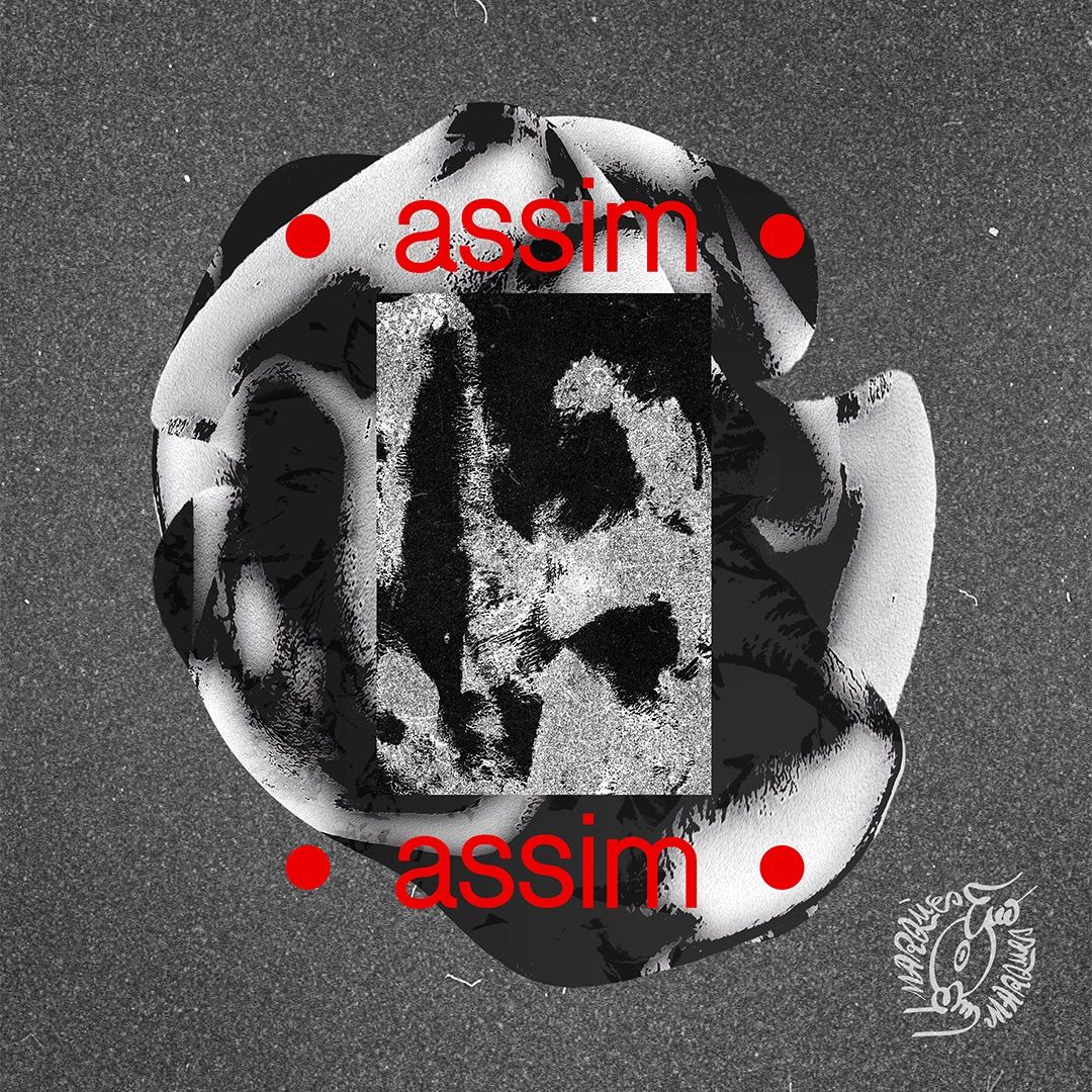 AssimAssim