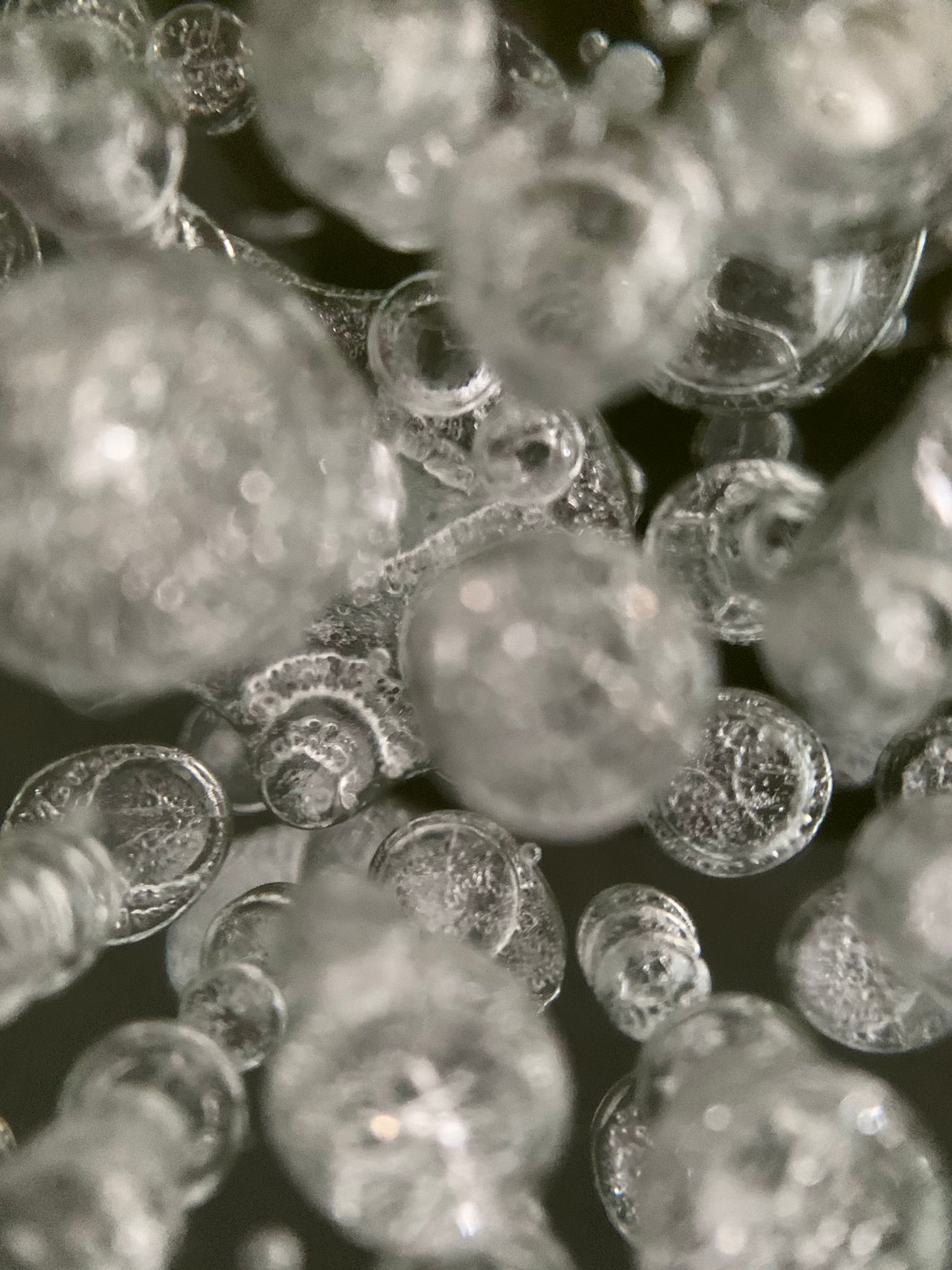 Soft Drive w/ atte pc 02.03.26