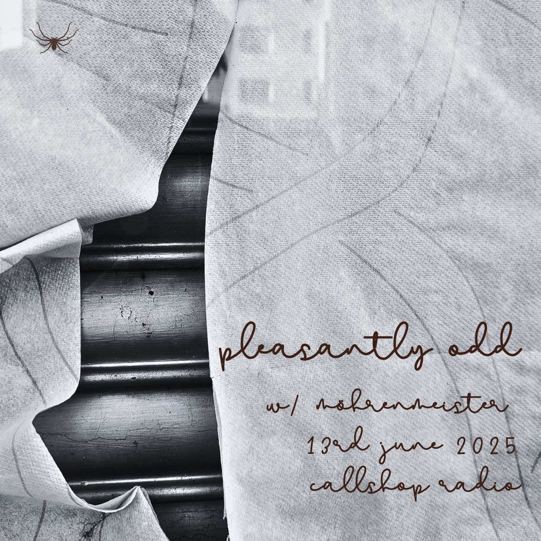 Pleasantly Odd w/ Möhrenmeister 13.06.25
