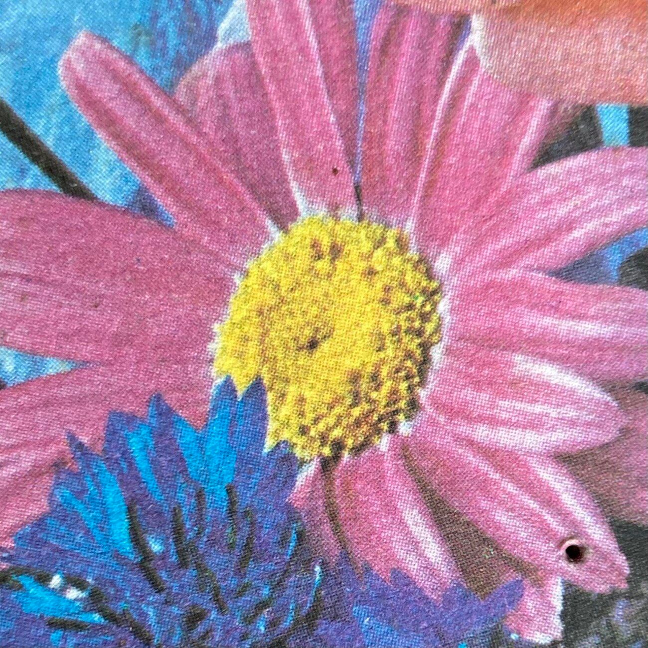 A Bunch Of Flowers 01.10.26